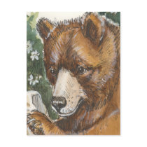 Cinnamon Grizzly Bear postcards