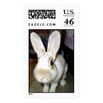 Cinnamon postage by rascallyrabbit Cinnamon postage