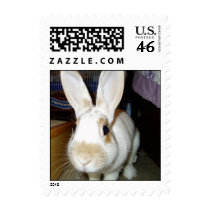 Cinnamon postage by rascallyrabbit Cinnamon postage