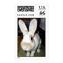 Cinnamon Stamp