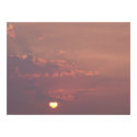 Cinnamon Sunrise posters by SafireLady Cinnamon Sunrise posters