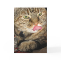 Cinnamon the Cat Greeting Card by DonnaGrayson Cinnamon the Cat Greeting Card