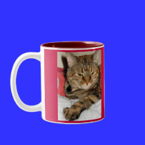 Cinnamon the Cat mugs