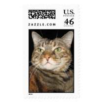 Cinnamon the Cat postage by DonnaGrayson Cinnamon the Cat postage