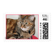Cinnamon the Cat postage by DonnaGrayson_Photos Cinnamon the Cat postage