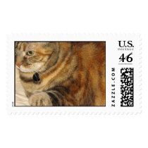 Cinnamon the Cat postage by DonnaGrayson Cinnamon the Cat postage