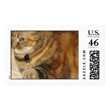 Cinnamon the Cat Postage Stamps