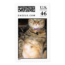 Cinnamon the Cat Stamps