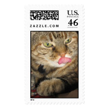 Cinnamon the Cat Stamps