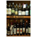 Cinque Terre Wines Italy card