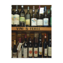 Cinque Terre Wines Italy    www.cindybee.com postcards