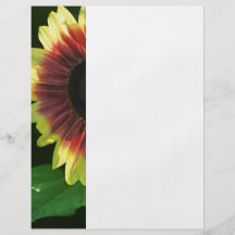 Cinturón de Fuego del girasol Tarjetas Publicitarias