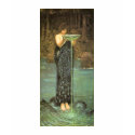 Circe Invidiosa by John William Waterhouse t-shirts by IrishPirateQueen Circe Invidiosa by John William Waterhouse t-shirts