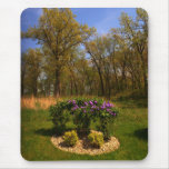 Circle Of Beauty Mouse Pad