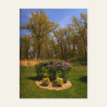 Circle Of Beauty Postcard