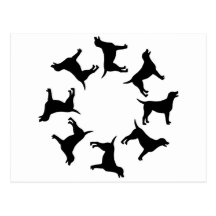 Circle of Black Labs Postcard