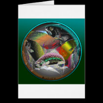 CIRCLE OF FISH cards