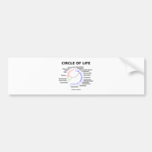 Circle Of Life (Circular Phylogenetic Tree) Bumper Stickers