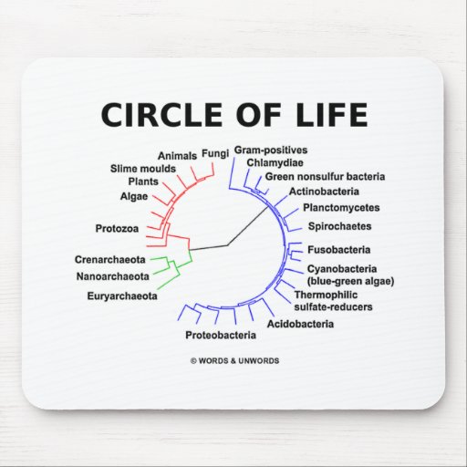 Circle Of Life (Circular Phylogenetic Tree) Mouse Pad