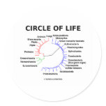 Circle Of Life (Circular Phylogenetic Tree) Round Stickers
