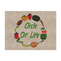 Circle Of Life Post Card