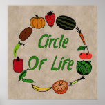 Circle Of Life Poster