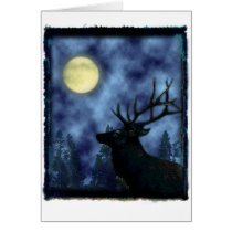 Circle of Light cards by Wynter Circle of Light cards