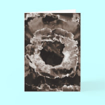 Circle of Light cards
