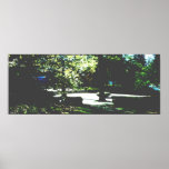 Circle of Light Posters