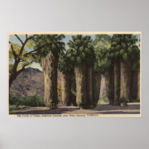 Circle of Palms, Andreas Canyon Posters