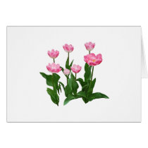 Circle of Pink Tulips cards