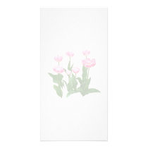 Circle of Pink Tulips photo cards