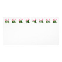 Circle of Pink Tulips photo cards