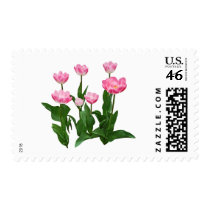 Circle of Pink Tulips stamps