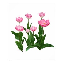 Circle of Pink Tulips posters
