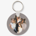 Circle of Shelties Keychain