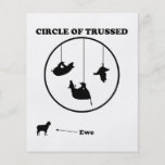 Circle of Trussed / Trust Wordplay Flyers
