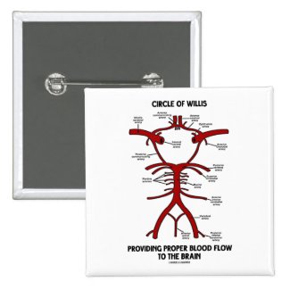 Circle Of Willis Providing Proper Blood Flow Brain Pins