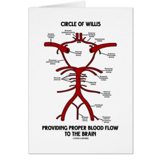 Circle Of Willis Providing Proper Blood Flow Brain Cards