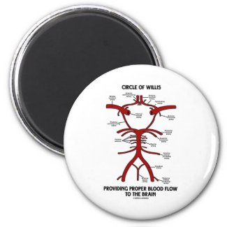 Circle Of Willis Providing Proper Blood Flow Brain Refrigerator Magnet