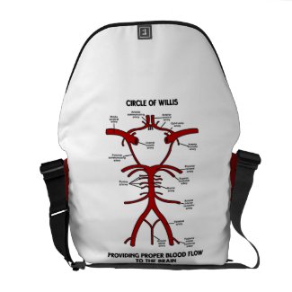 Circle Of Willis Providing Proper Blood Flow Brain Courier Bags