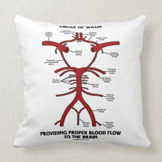 Circle Of Willis Providing Proper Blood Flow Brain Pillows