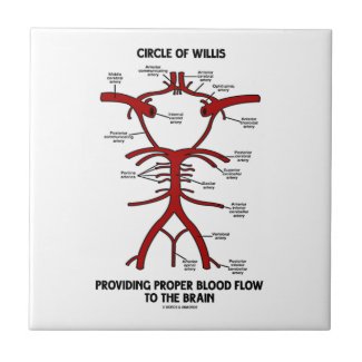 Circle Of Willis Providing Proper Blood Flow Brain Tiles