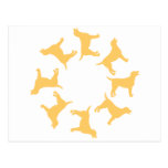 Circle of Yellow Labs Post Cards