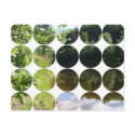 Circle Photo Postcard by FireboltGoddess Circle Photo Postcard