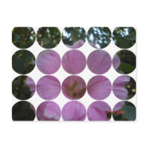 Circle Photo Postcard