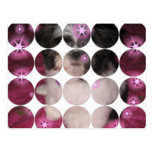 Circle Photo Postcard