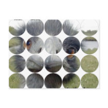 Circle Photo Postcard - Customized