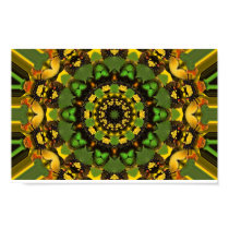 Circle Webb posters