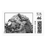 circles and nature postage stamp
